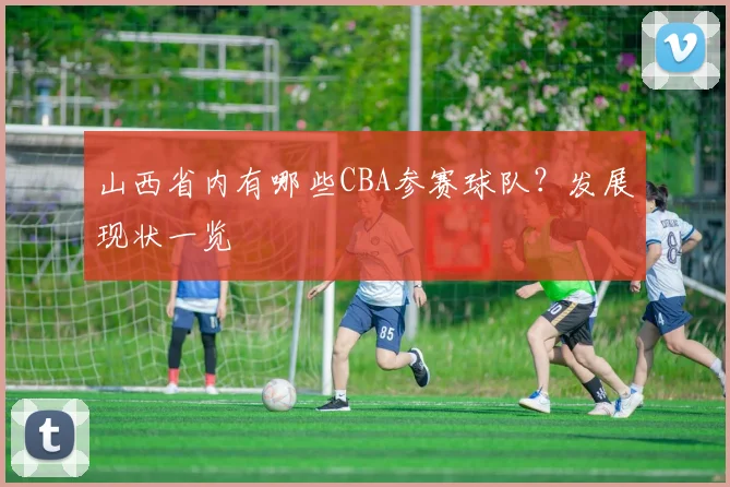 山西省内有哪些CBA参赛球队？发展现状一览